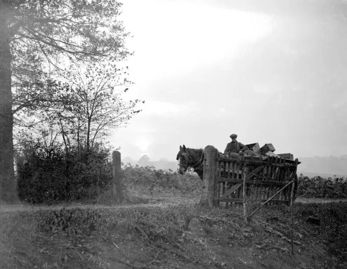Framed Print : Farm scene. 14 November 1934