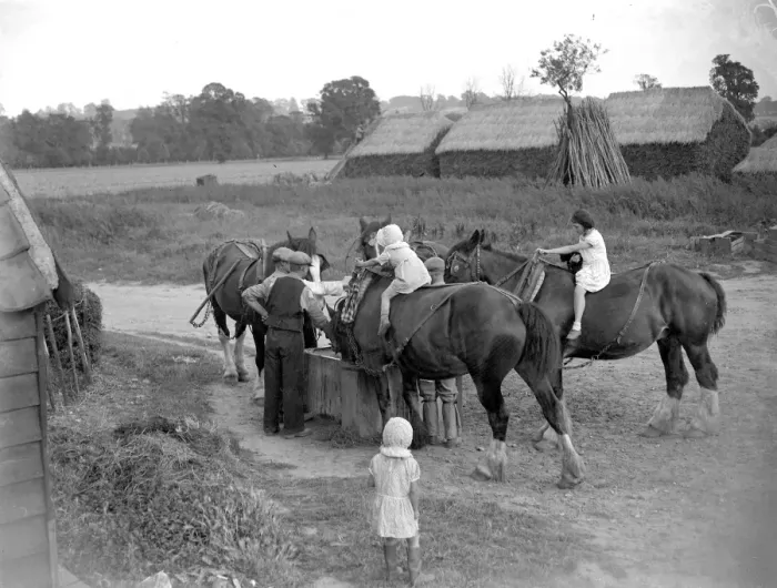 Framed Print : Farm scene: children on horses in the evening. 1934