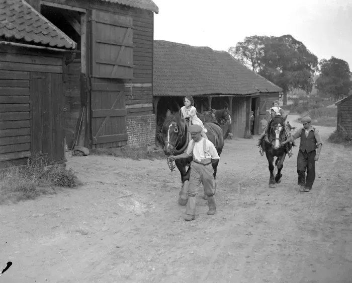 Framed Print : Farm scene: children on horses in the evening. 1934 Framed Print : Farm scene: children on horses in the evening. 1934