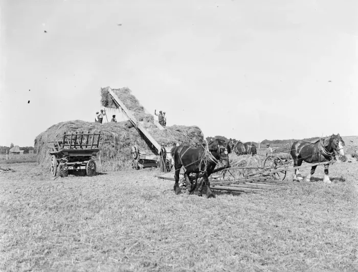 Framed Print : Farm workers in Farningham with his horse team collect hay. 1935 Framed Print : Farm workers in Farningham with his horse team collect hay. 1935