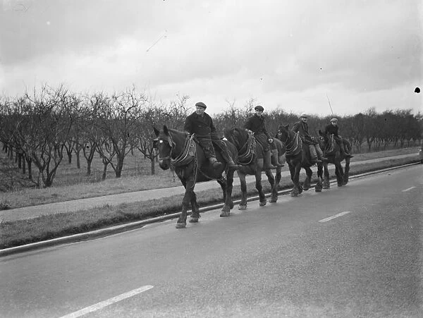 Farm workers on horseback, homeward bound in Farrningham, Kent. 1938