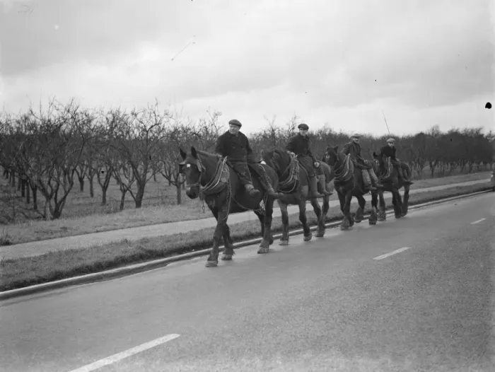 Framed Print : Farm workers on horseback, homeward bound in Farrningham, Kent. 1938
