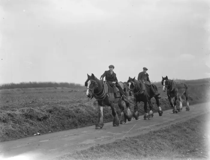 Framed Print : Farm workers returning home on their horses after a days ploughing