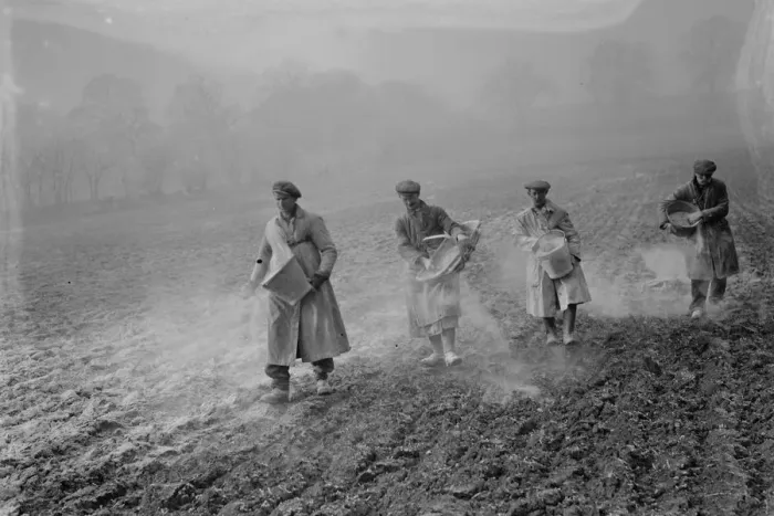 Framed Print : Farm workers spreading bone fertilizer on the fields in St Mary Cray, Kent. 1936 Framed Print : Farm workers spreading bone fertilizer on the fields in St Mary Cray, Kent. 1936