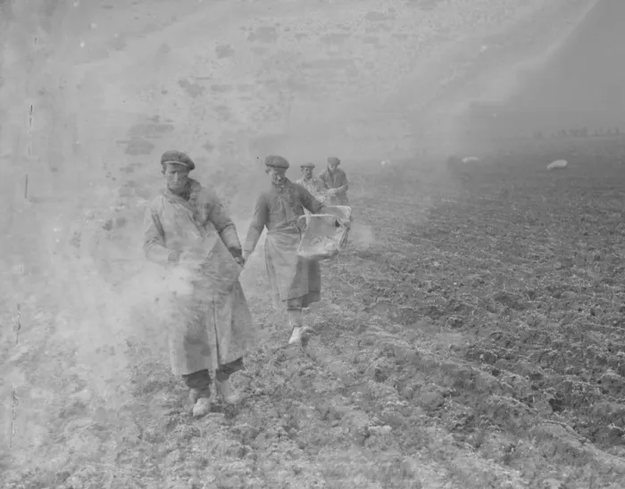 Framed Print : Farm workers spreading bone fertilizer on the fields in St Mary Cray, Kent. 1936 Framed Print : Farm workers spreading bone fertilizer on the fields in St Mary Cray, Kent. 1936
