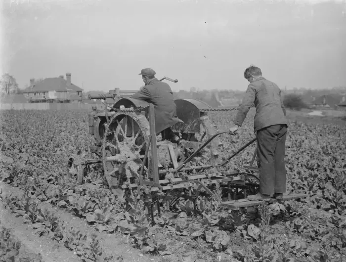 Framed Print : Farm workers on a tractor cultivate a field. 1935 Framed Print : Farm workers on a tractor cultivate a field. 1935