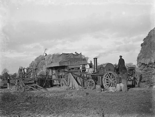Farm workers using a portable steam engine and belt - driven threshing machine in Malling