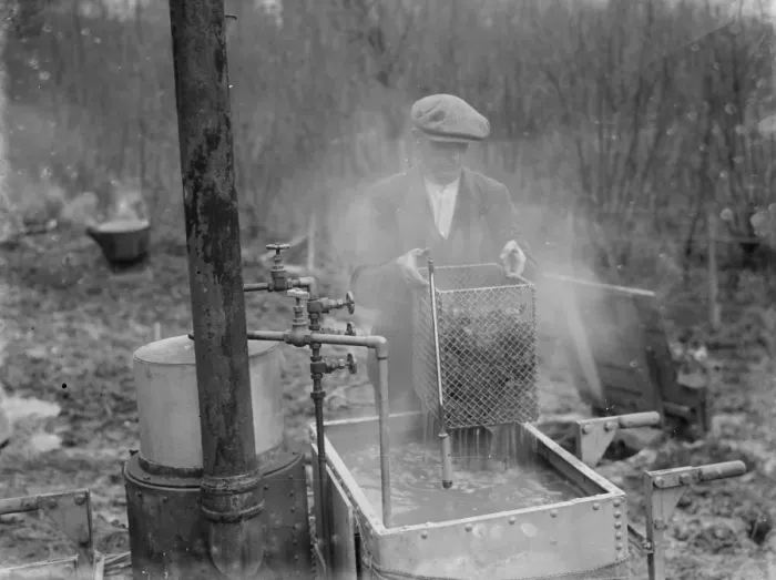 Framed Print : A farmer cultivates his strawberries. 1935 Framed Print : A farmer cultivates his strawberries. 1935
