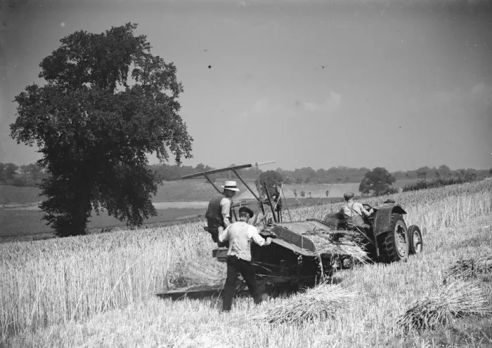 Framed Print : A farmer harvesting his crop with a tractor drawn combine. 1939