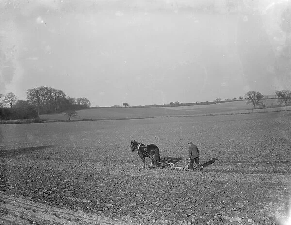 A farmer and his horse plough a field. 1936