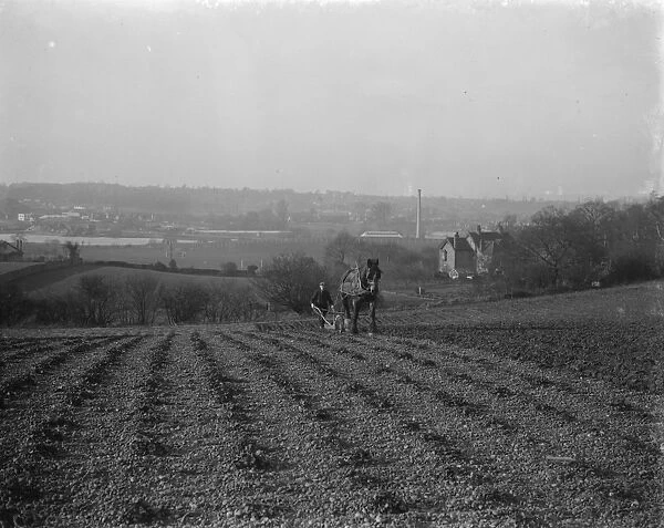 A farmer and his horse plough a stony field. suburban or urban meets rural