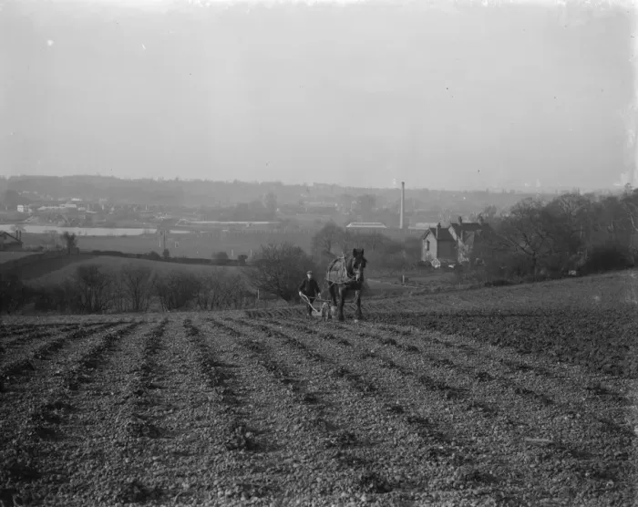 Framed Print : A farmer and his horse plough a stony field. suburban or urban meets rural Framed Print : A farmer and his horse plough a stony field. suburban or urban meets rural