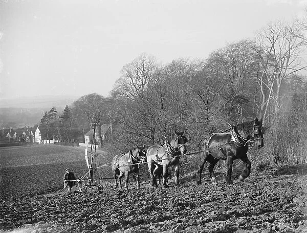 A farmer and his horse team plough a field in the Darenth Valley in Kent. 1937