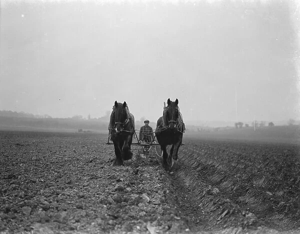 A farmer and his horse team plough a field in Hockenden, Kent. 1939