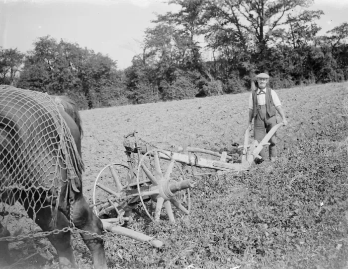 Framed Print : A farmer and his horse team plough a field in Kent. 1935 Framed Print : A farmer and his horse team plough a field in Kent. 1935