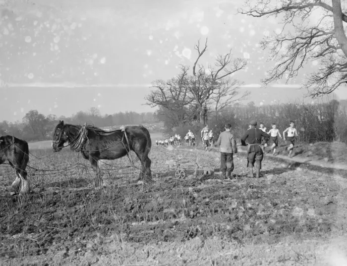 Framed Print : A farmer and his horse team ploughing a field, take a break to watch cross country Framed Print : A farmer and his horse team ploughing a field, take a break to watch cross country