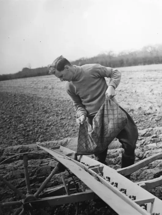 Framed Print : Farmer loading seeds from a sack into a Coopers Drymac seed barrow