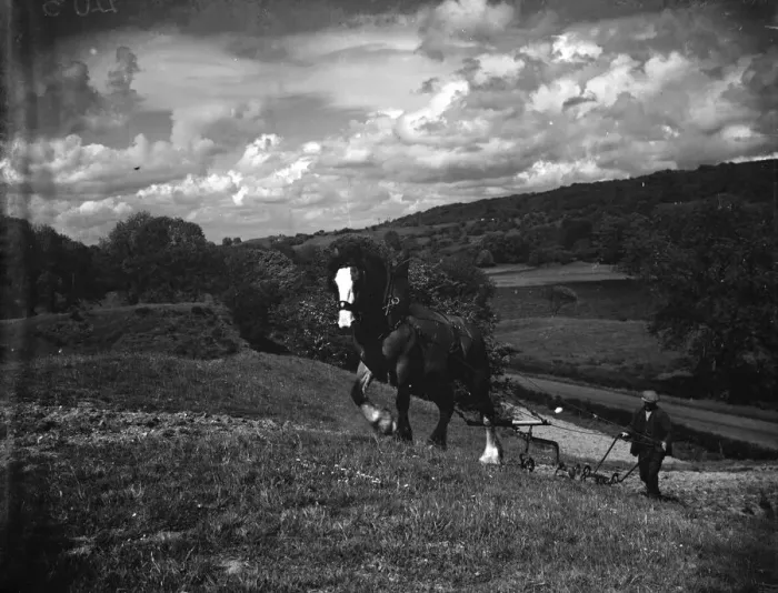 Framed Print : A farmer ploughing with his horse. 1935 Framed Print : A farmer ploughing with his horse. 1935
