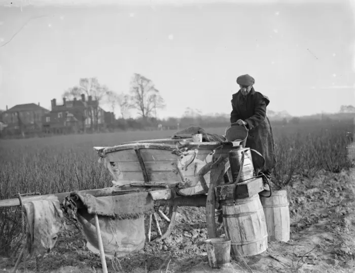 Framed Print : A farmer refills his barrels with fruit spray. 1936