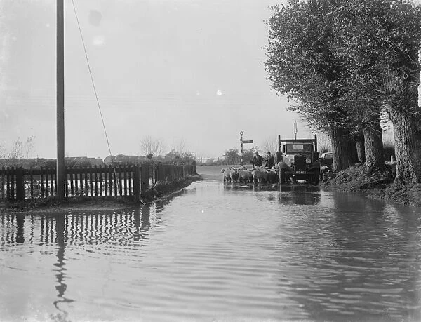 A farmer and his sheep next to a flooded area in Beltring, Kent. 1936