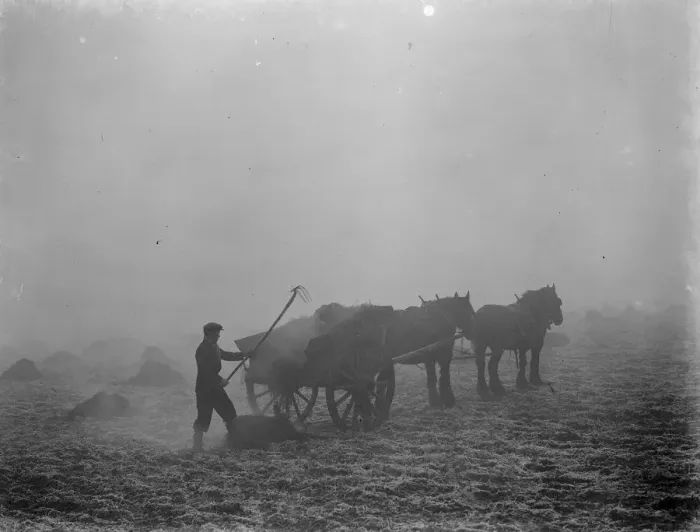 Framed Print : A farmer spreads manure from a horse and cart on a February morning in Allington, Kent Framed Print : A farmer spreads manure from a horse and cart on a February morning in Allington, Kent