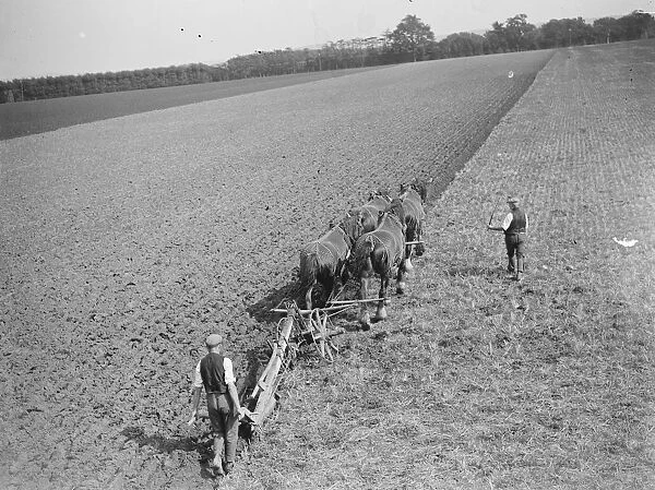 A farmer and his team of horses ploughing a field in Kent. 1939