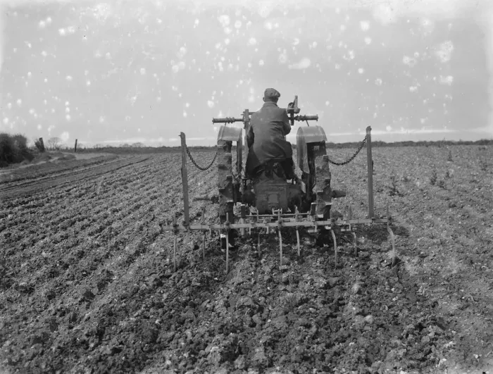 Framed Print : A farmer on his tractor cultivates a field. 1935 Framed Print : A farmer on his tractor cultivates a field. 1935