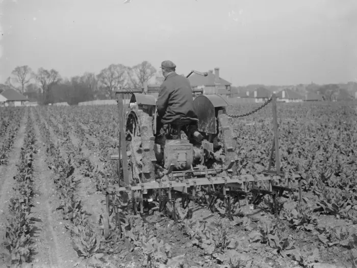 Framed Print : A farmer on a tractor cultivating a field. 1935 Framed Print : A farmer on a tractor cultivating a field. 1935