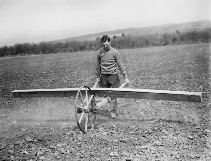 Framed Print : Farmer using a Coopers Drymac seed barrow. 1937 Framed Print : Farmer using a Coopers Drymac seed barrow. 1937