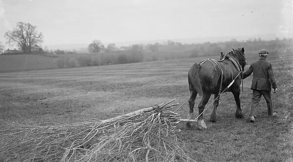 A farmer using a horse to pull a harrow across his field. 1936