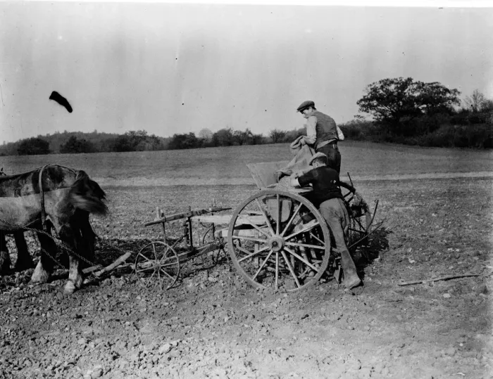 Framed Print : Farmers with their horse drawn Suntyne seed drill in Darenth, Kent. 1938 Framed Print : Farmers with their horse drawn Suntyne seed drill in Darenth, Kent. 1938