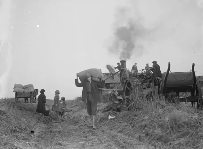 Framed Print : A farming scene. Farm workers in Farningham at work using a steam engine and belt