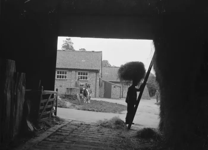 Framed Print : Farmyard. 1935