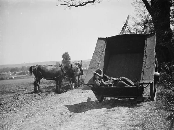 Field worker taking rest in a cart. 1938