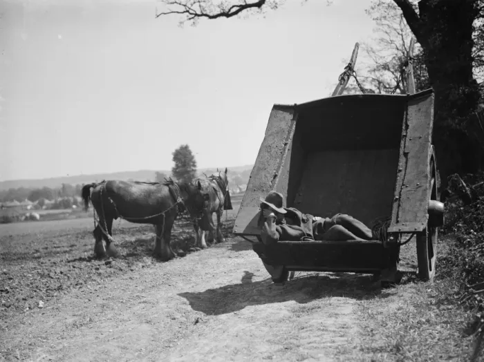Framed Print : Field worker taking rest in a cart. 1938 Framed Print : Field worker taking rest in a cart. 1938
