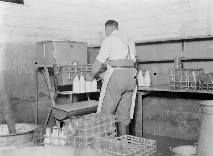 Framed Print : Filling milk bottles. 1935 Framed Print : Filling milk bottles. 1935