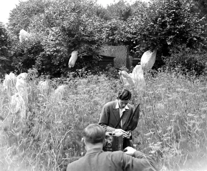 Framed Print : Filming at a butterfly farm. 1933