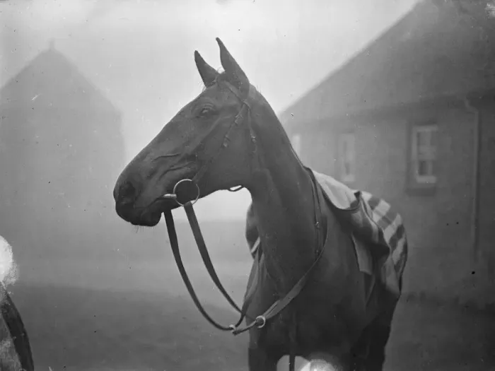 Framed Print : First pictures of Heartbreak Hill in training at Lewes - the favoured Irish candidate Framed Print : First pictures of Heartbreak Hill in training at Lewes - the favoured Irish candidate