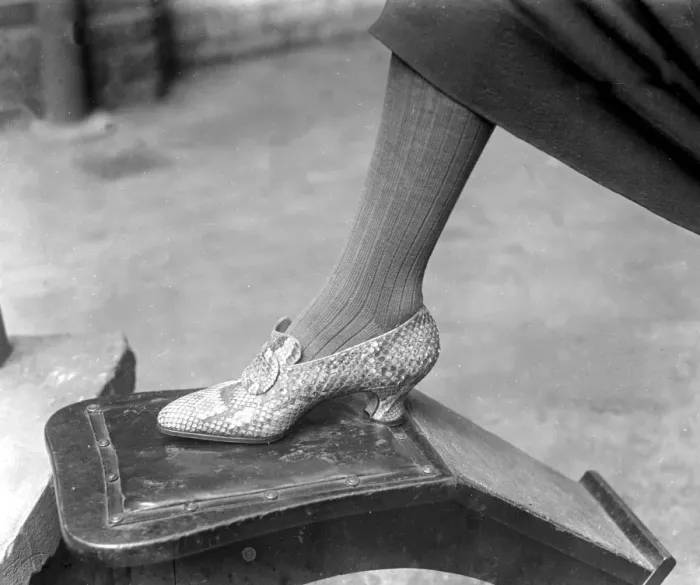 Framed Print : Fish and snake skins used for fashionable shoes at Gerrett and sons. 19 September 1925 Framed Print : Fish and snake skins used for fashionable shoes at Gerrett and sons. 19 September 1925