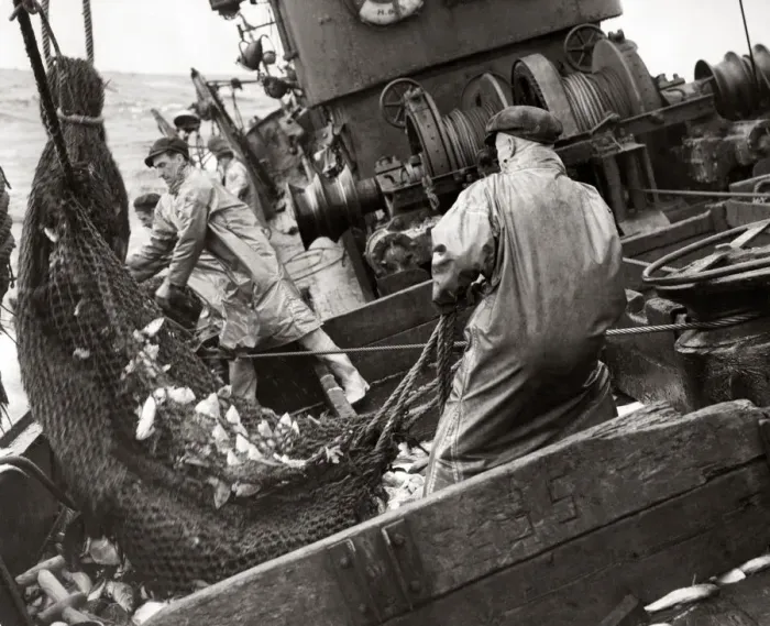 Framed Print : Fishermen on board a trawler in the North Sea Framed Print : Fishermen on board a trawler in the North Sea