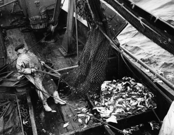 Framed Print : Fishermen on board a trawler in the North Sea Fish where the fish are Framed Print : Fishermen on board a trawler in the North Sea Fish where the fish are