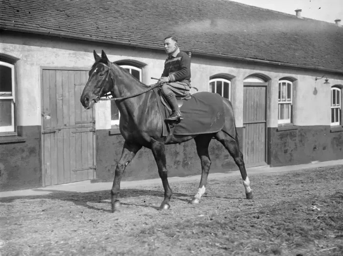 Framed Print : French Hope for Grand National in training at Lewes. The French hope for Framed Print : French Hope for Grand National in training at Lewes. The French hope for
