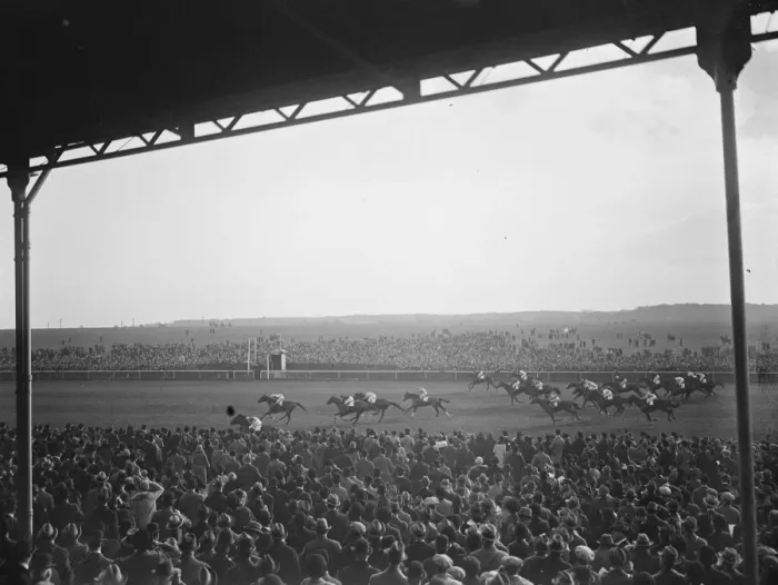 Framed Print : The French horse Masked Marvel wins the Cambridgeshire at Newmarket The finish of the race Framed Print : The French horse Masked Marvel wins the Cambridgeshire at Newmarket The finish of the race