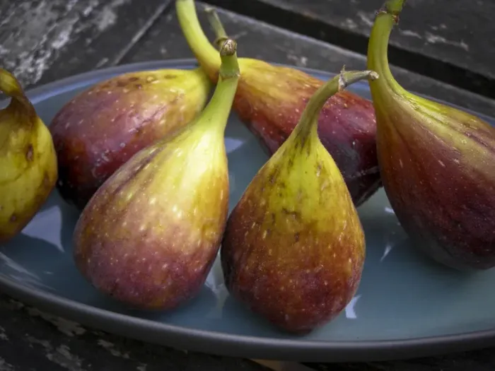 Framed Print : Fresh figs on pottery plate outside on garden table credit: Marie-Louise Avery Framed Print : Fresh figs on pottery plate outside on garden table credit: Marie-Louise Avery
