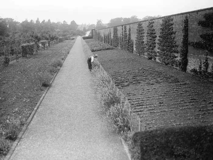 Framed Print : The gardens at the Kings country house, Sandringham, Norfolk. 22 August 1929 Framed Print : The gardens at the Kings country house, Sandringham, Norfolk. 22 August 1929