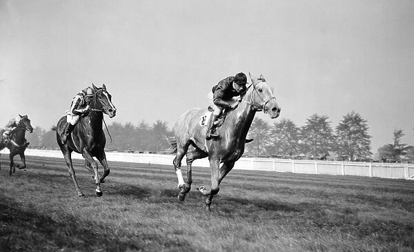Gatwick racecourse, Sussex, England. Sir Woodman Burbidges race horse, Look