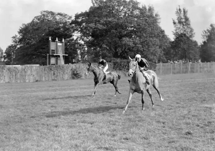 Framed Print : Gatwick Racecourse, Sussex, England. Vitesse ridden by D Prendergast cantering