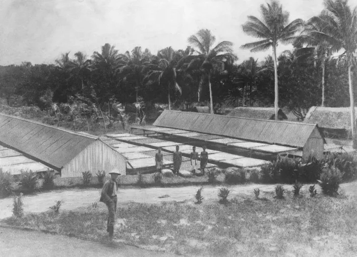 Framed Print : German East Africa Nuala, A drying ground on a copra estate August 1921