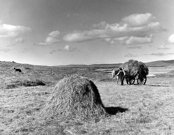 Getting in the hay crop in the Hebrides. Southern farmers may grumple about the weather