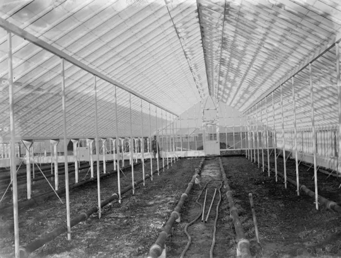 Framed Print : Empty glass house at the Horticultural College, Swanley, Kent. 1935 Framed Print : Empty glass house at the Horticultural College, Swanley, Kent. 1935